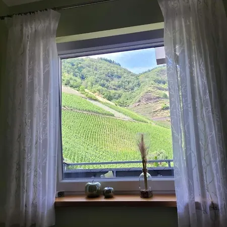Haus Am Calmont Apartment