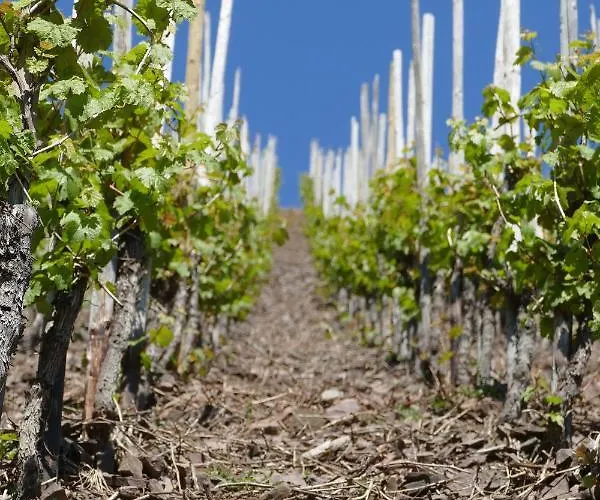 Haus Am Calmont Apartamento