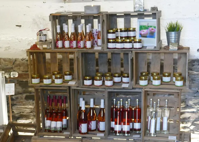 Haus Am Calmont Apartamento Bremm