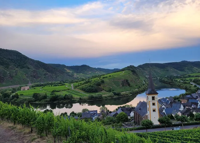 Apartamento Haus Am Calmont Bremm